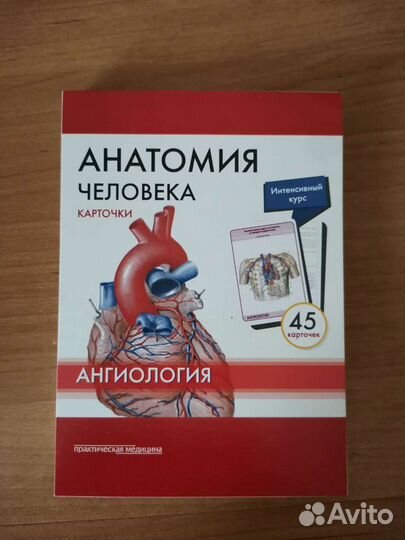 Карточки М. Р. Сапина. Ангиология