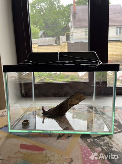 Аквариум для живности с подсветкой