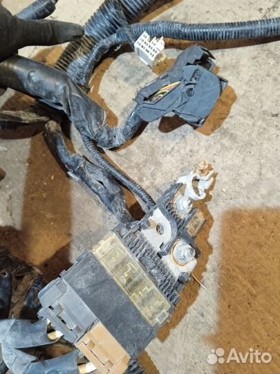 Проводка подкапотная Suzuki SX4