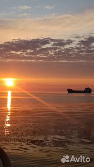 Моторист рулевой