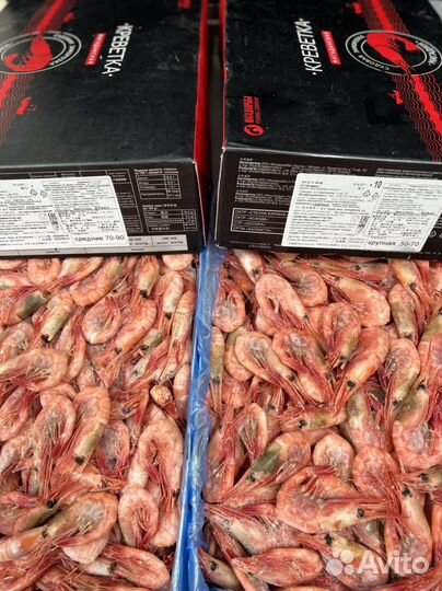 Креветки магаданрыба