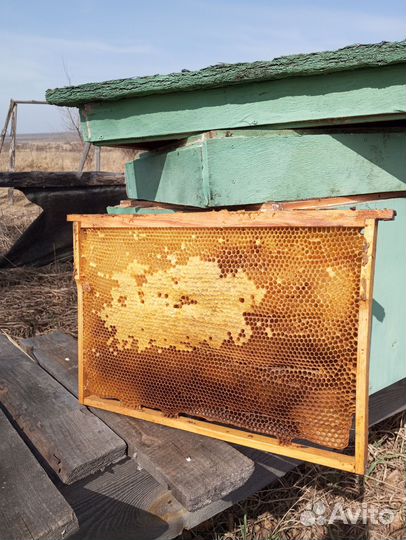 Рамки для ульев дадан, рамки с сушью