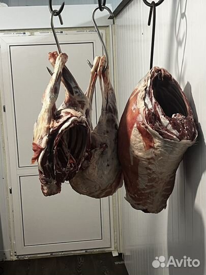 Мясо телятина баранина свежая