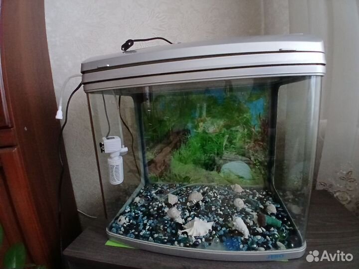 Аквариум