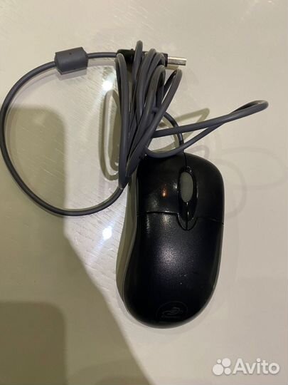 Мышь