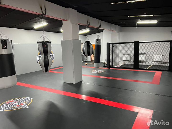 Борцовский ковер 6х6 трехцветный