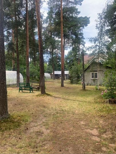 Участок 18,3 сот. (ИЖС)