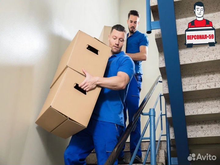 Грузчики на час