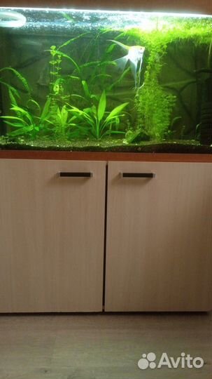 Аквариум с рыбками и тумбой