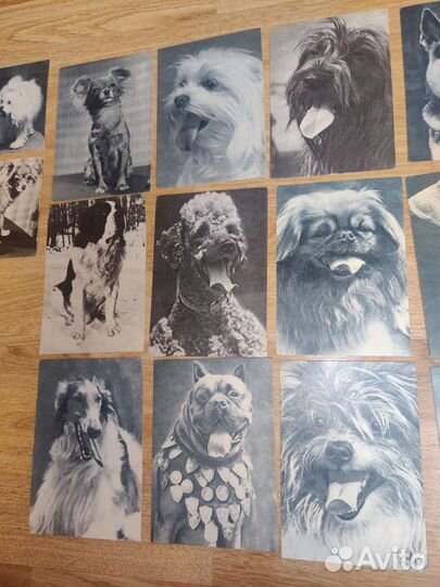 Открытка СССР 1969