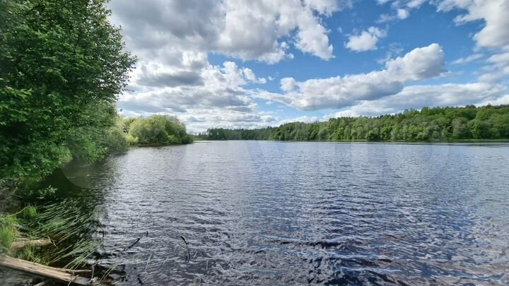 Участок 15 сот. (СНТ, ДНП)