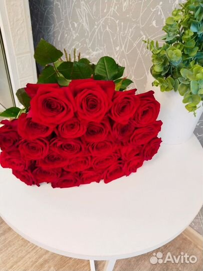 Крупные розы 70 см с доставкой