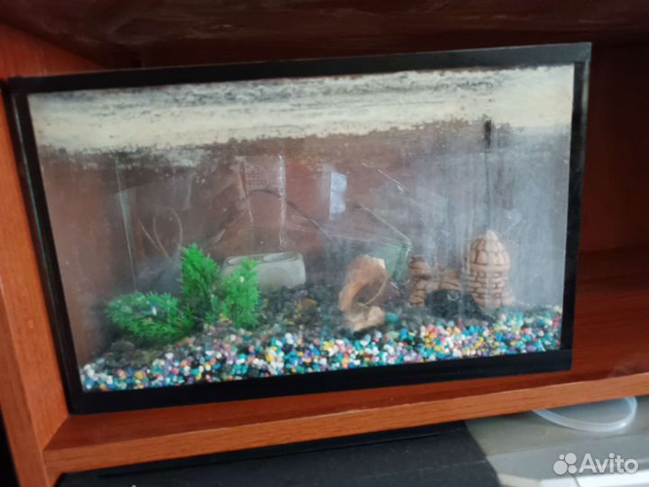 Украшение для аквариума