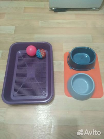 Когтеточка, лоток, миски, игрушки