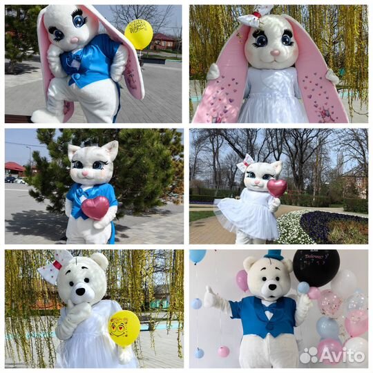 Зайка, Мишка, Котик