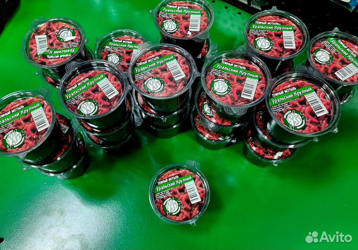 Мотыль насадочный