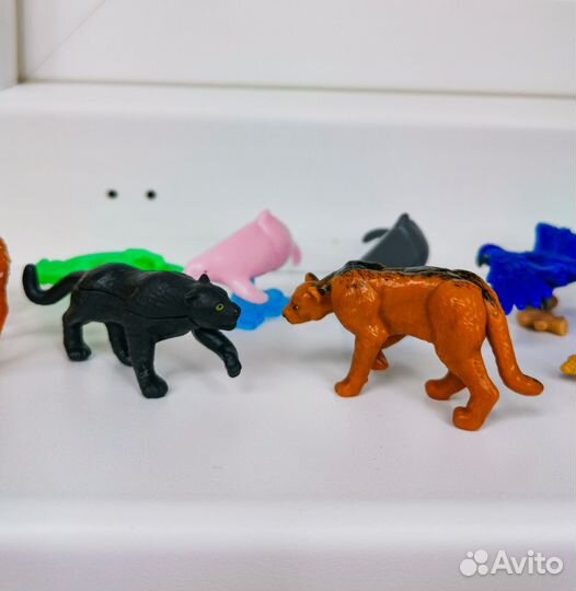 Kinder Natoons 2024 2023 2022