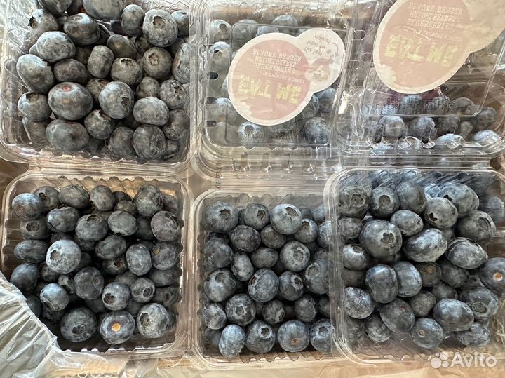 Ягоды: клубника,малина,голубика,ежевика