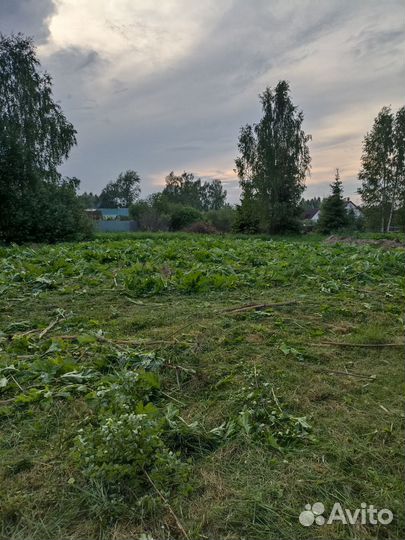 Покос травы, благоустройство участка