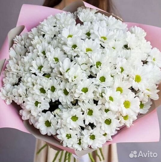 Хризантема Доставка цветов Букеты