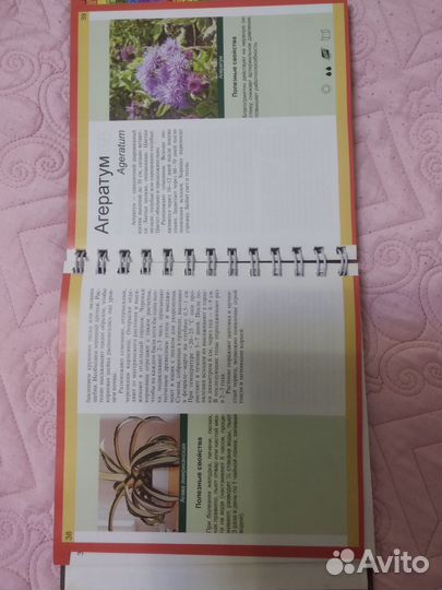 Книга о комнатных растениях