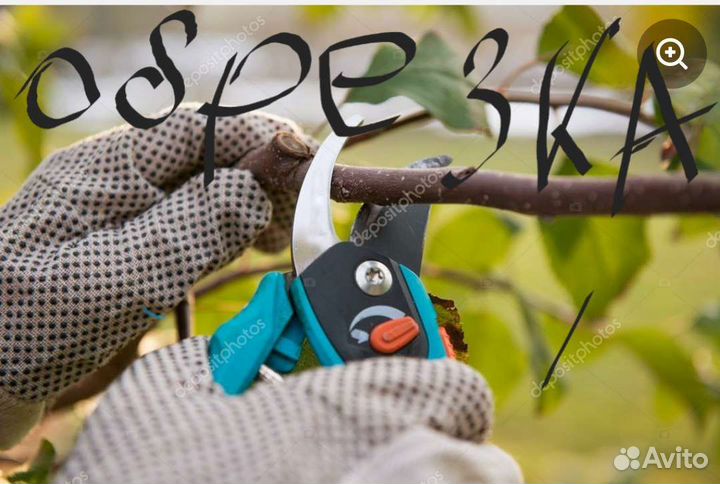 Обрезка деревьев