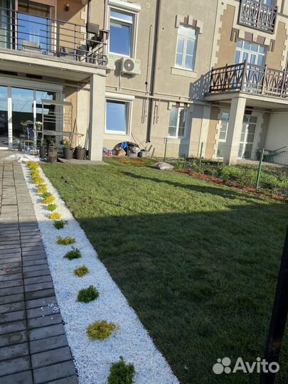 Рулонный газон с укладкой под ключ