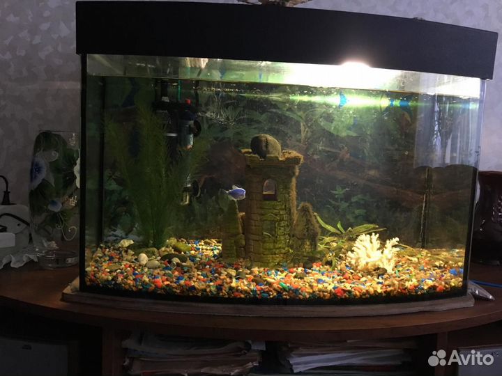 Аквариум