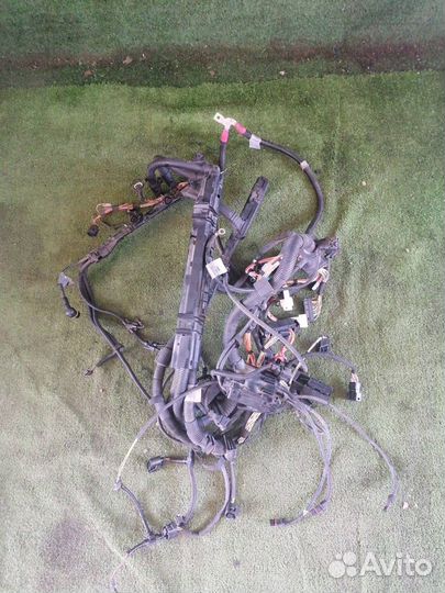 Коса под капот Bmw X5 E70 N52B30AF 2007