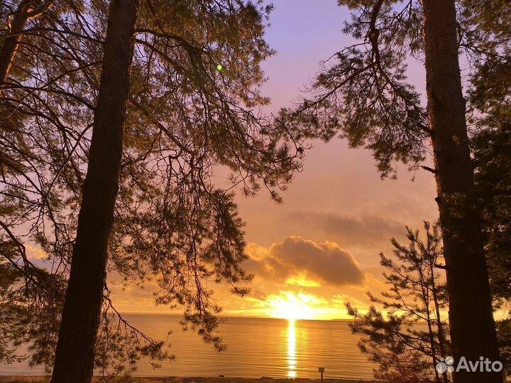 Организация отдыха в Доме на берегу оз Сямозеро