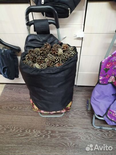 Сосновые шишки для декора