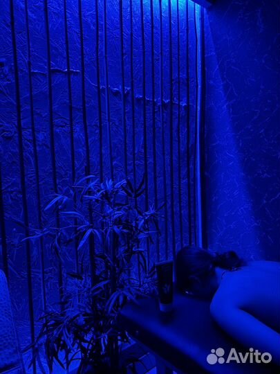 СПА процедуры