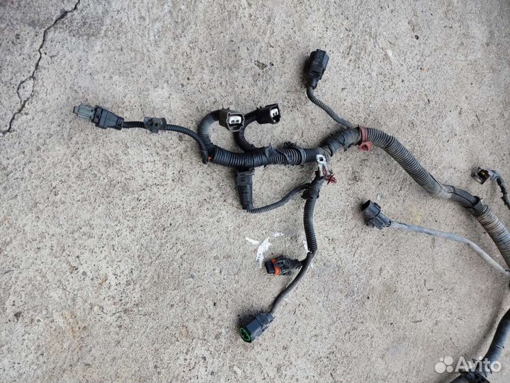 Hyundai Accent проводка моторная