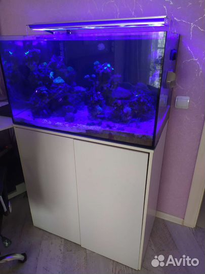Аквариум с тумбой морской