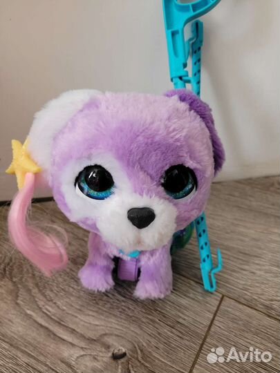 Интерактивная собака на поводке