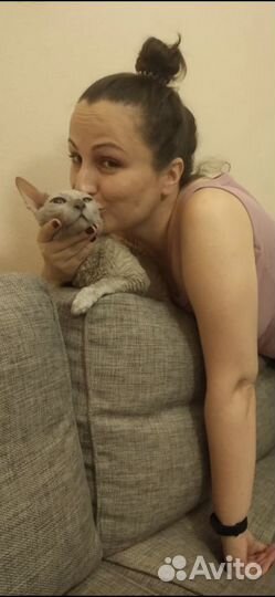 Котоняня, няня для кошки с выездом / проживанием