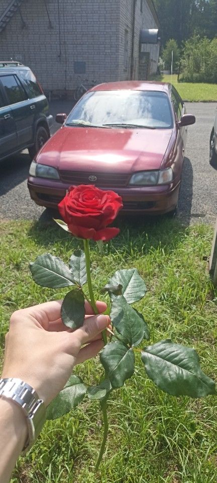 Toyota Carina E: фото из отзыва