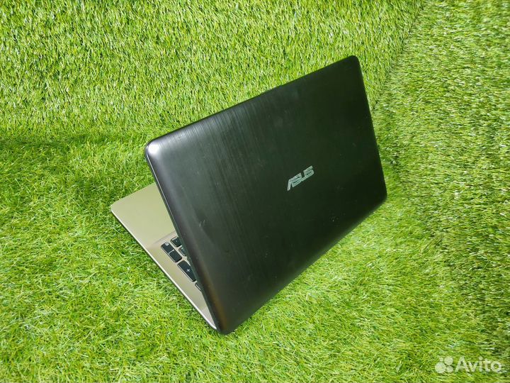 Asus в идеале в дом, школу, офис. Рассрочка