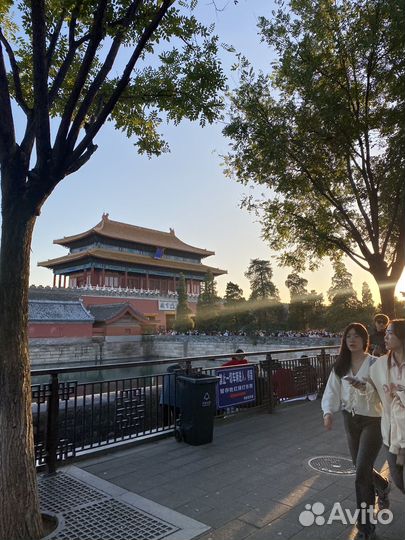 Репетитор по китайскому языку онлайн