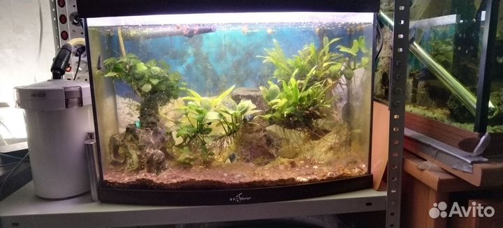Аквариум б/у