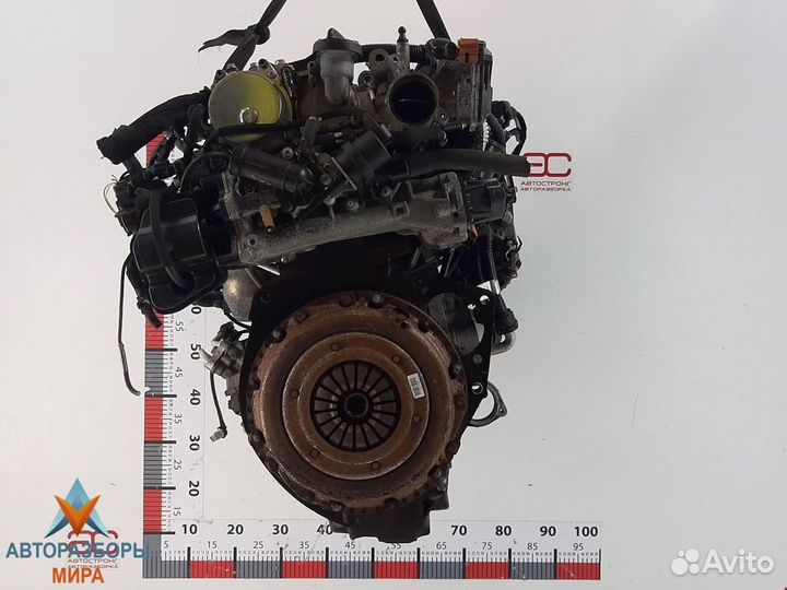 Тнвд Opel Insignia (A) 2009 55597787