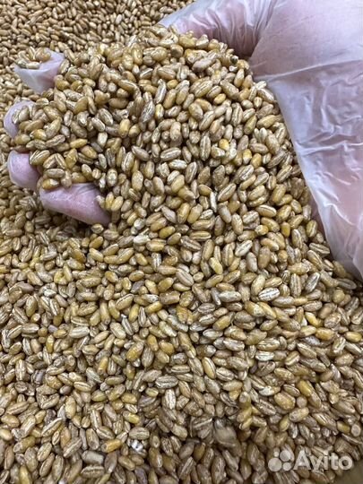 Премиальные Крупы Оптом