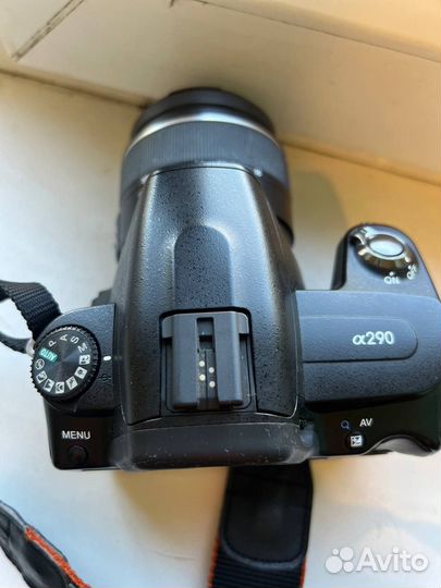 Sony a290