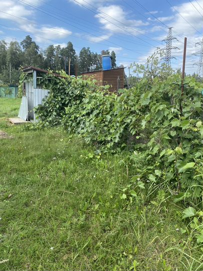Участок 4 сот. (СНТ, ДНП)