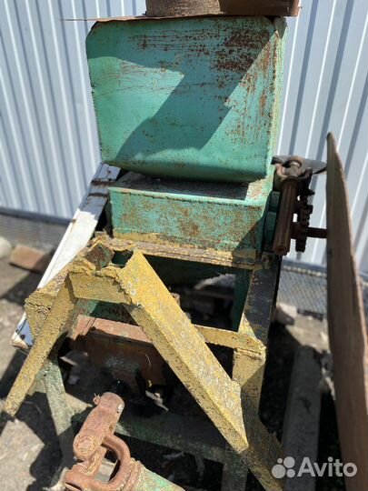 Крупорушка