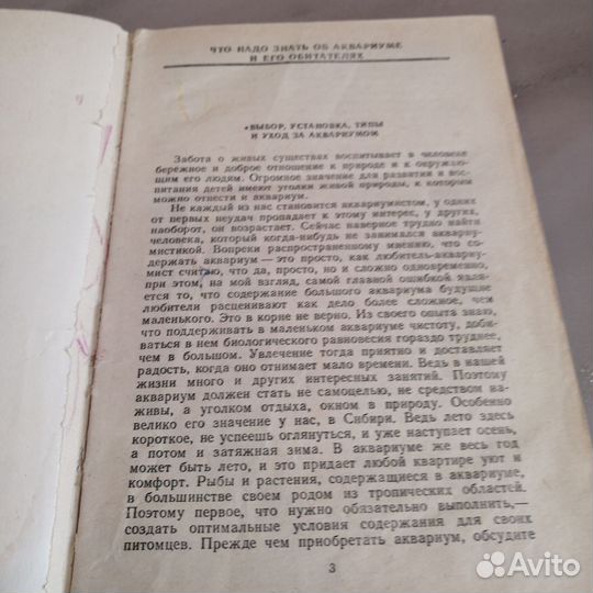 Ефремов аквариум и его обитатели