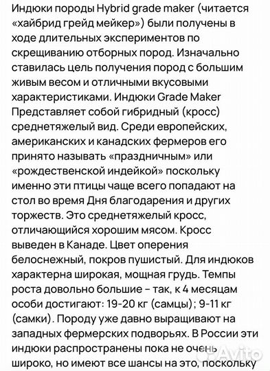 Индюшата Хайбрид Грейд Мейкер