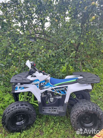 Квадроцикл Shark 125