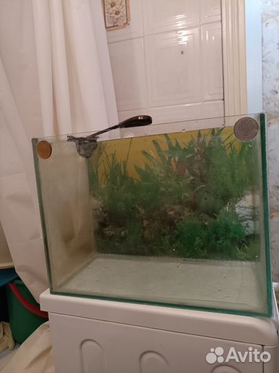 Аквариум