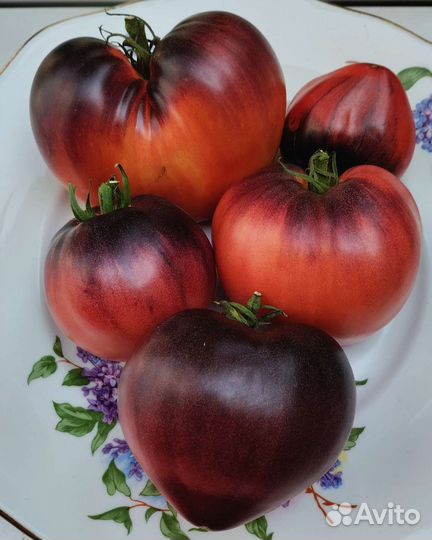 Синие горы Сержанта Пеппера